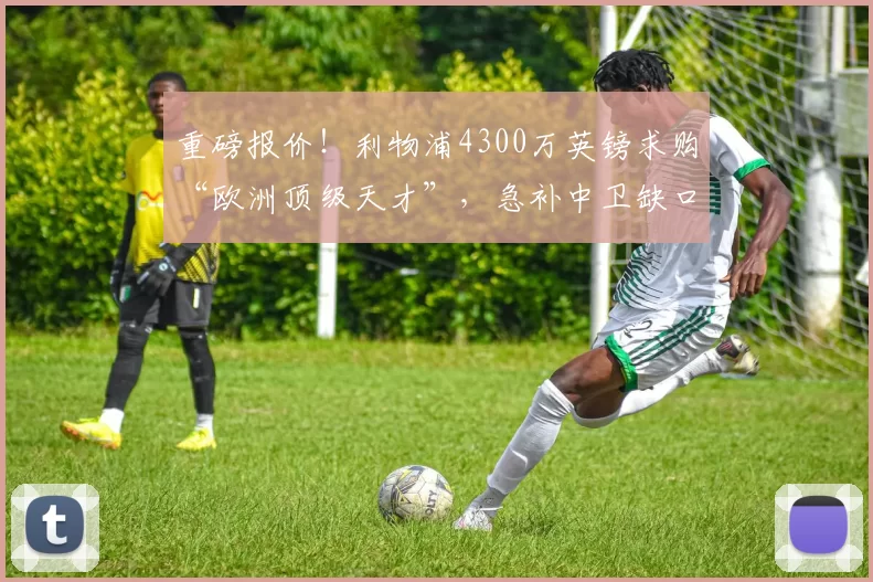 重磅报价！利物浦4300万英镑求购“欧洲顶级天才”，急补中卫缺口