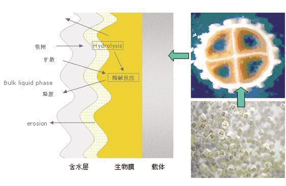 1578640535986970.png 圖片.png