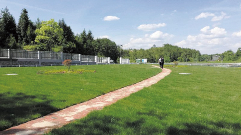 1578647961612511.jpg 未標(biāo)題-1.jpg