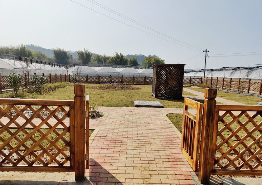 1585732761638881.jpg 1575952166804980.jpg