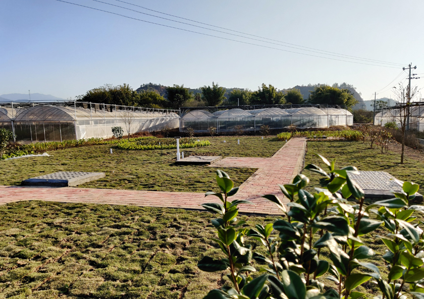 1585732814683380.jpg 1575952166804980.jpg