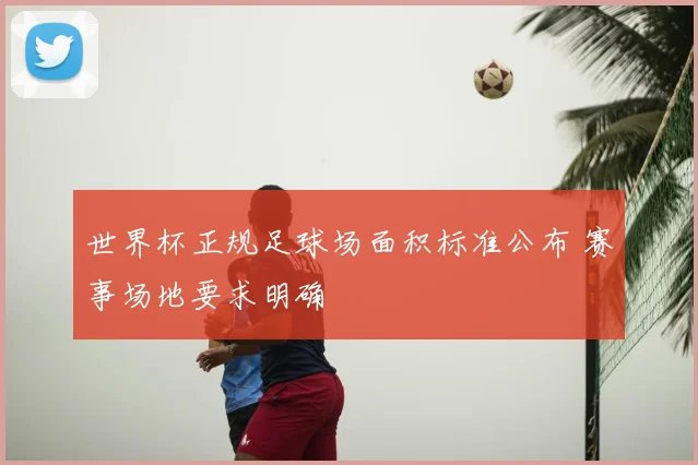 世界杯正规足球场面积标准公布 赛事场地要求明确