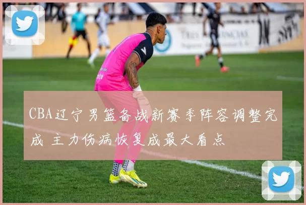 CBA辽宁男篮备战新赛季阵容调整完成 主力伤病恢复成最大看点