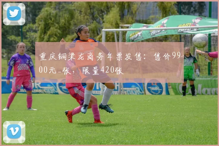 重庆铜梁龙商务年票发售：售价9900元_张，限量420张