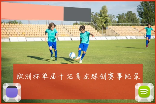 欧洲杯单届十记乌龙球创赛事纪录