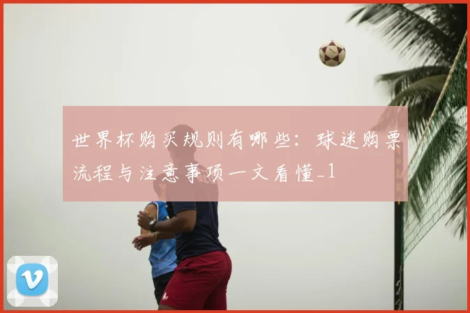 世界杯购买规则有哪些:球迷购票流程与注意事项一文看懂_1