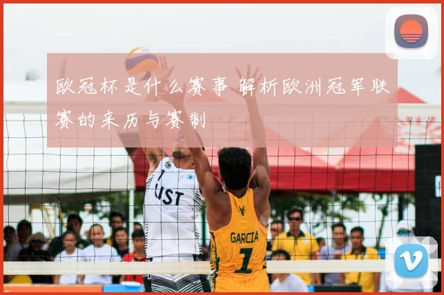欧冠杯是什么赛事 解析欧洲冠军联赛的来历与赛制