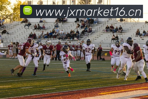 开云手机官方版在线入口 - 开云(中国)APP 封面图